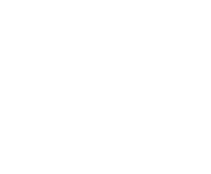 seagate